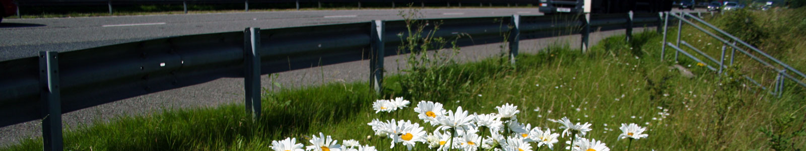 Grass Growth Regulation for the UK Highways Network - LanGuard Vegetation Management